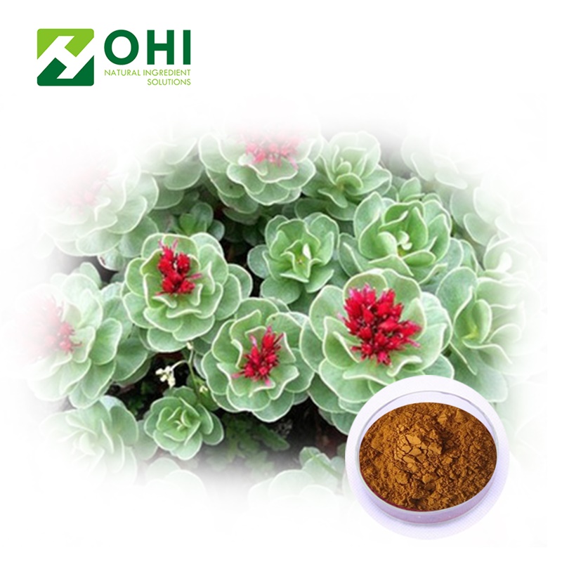 Rhodiola rosea L extract 